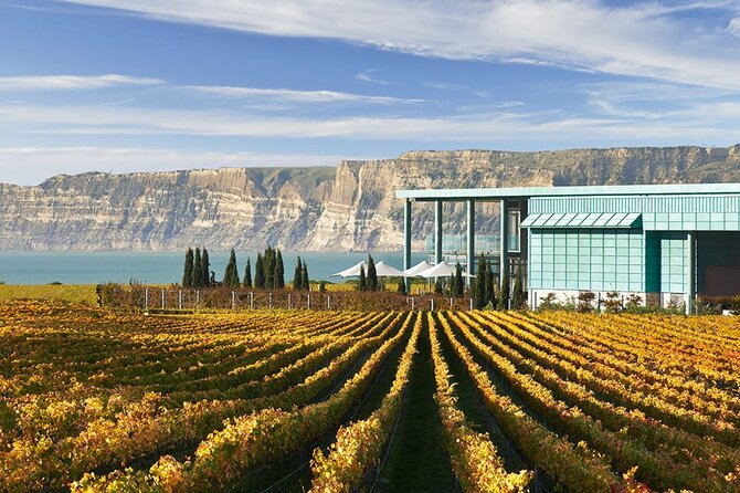 Art Deco City & Wine Private Tour - 5hrs - up to 10 People - Traveler Reviews