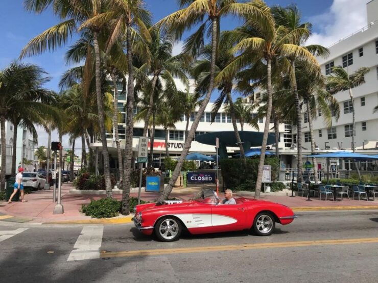 Art Deco Tour of South Beach in English - Tour Highlights