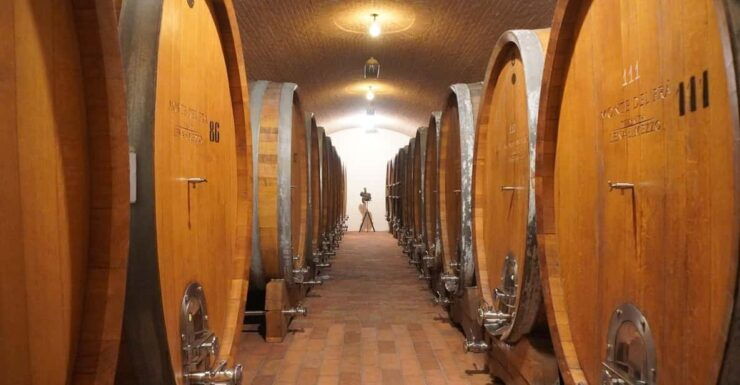 ART GALLERY AND GUIDED CELLAR TOUR - Good To Know
