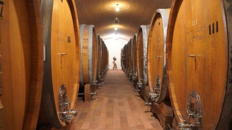 ART GALLERY AND GUIDED CELLAR TOUR - Pricing and Reservations