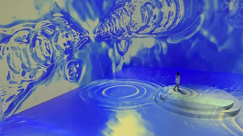 Art In Island Ticket in Manila - Key points to know