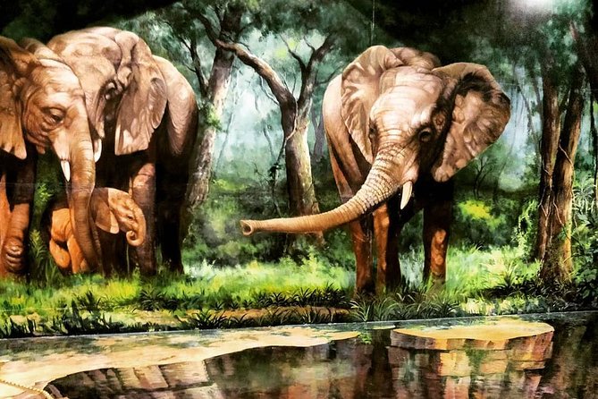 Art in Paradise Pattaya Admission Ticket - Interactive and Immersive Experience