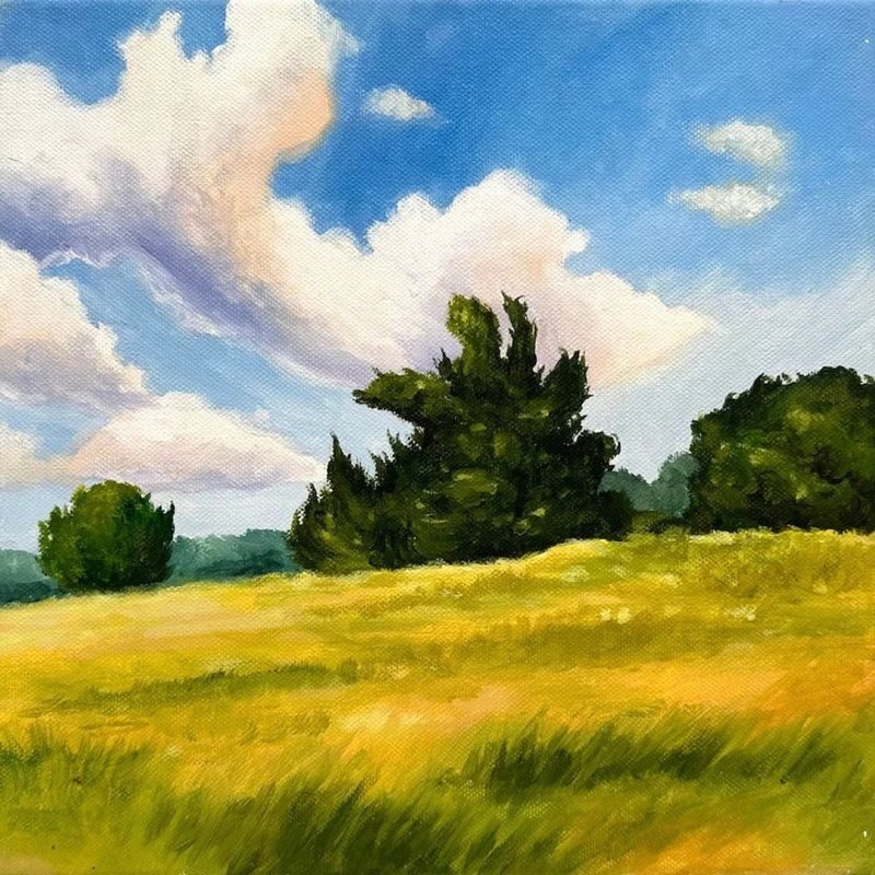 Art Jam Workshop by Sage Artelier - Choosing your canvas, paints, and subject