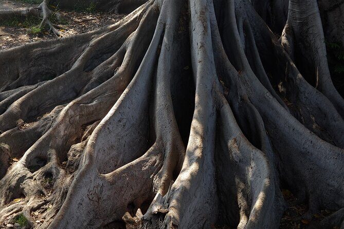 Art of Balboa Park Walking Tour - The Sum Up