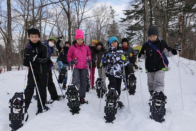 Art of Ice Nanajo Shichijo Otaki Snowshoe Tour Difficulty (Medium) - Expectations and Requirements