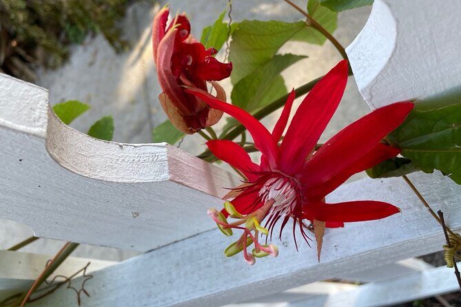 Art of the Gilded Age - Why This Tour Offers Great Value