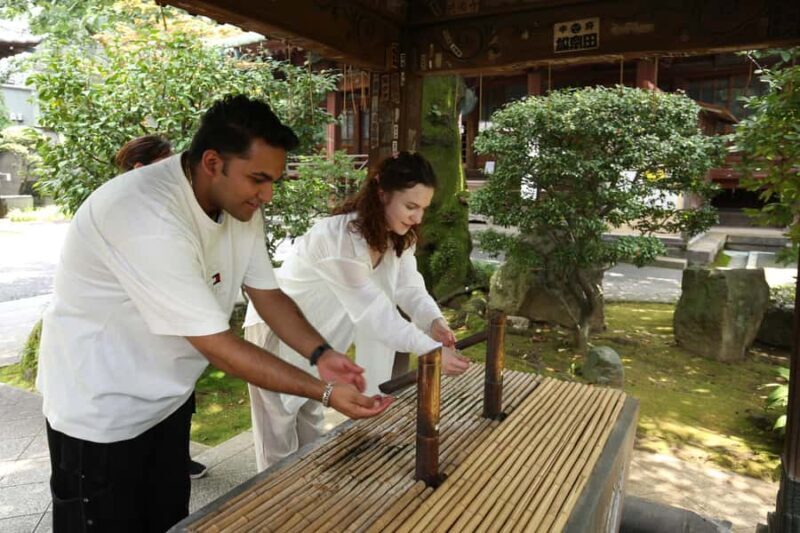 Art Tour: Tokyo national museum and Ueno-Yanaka walking tour - Good To Know