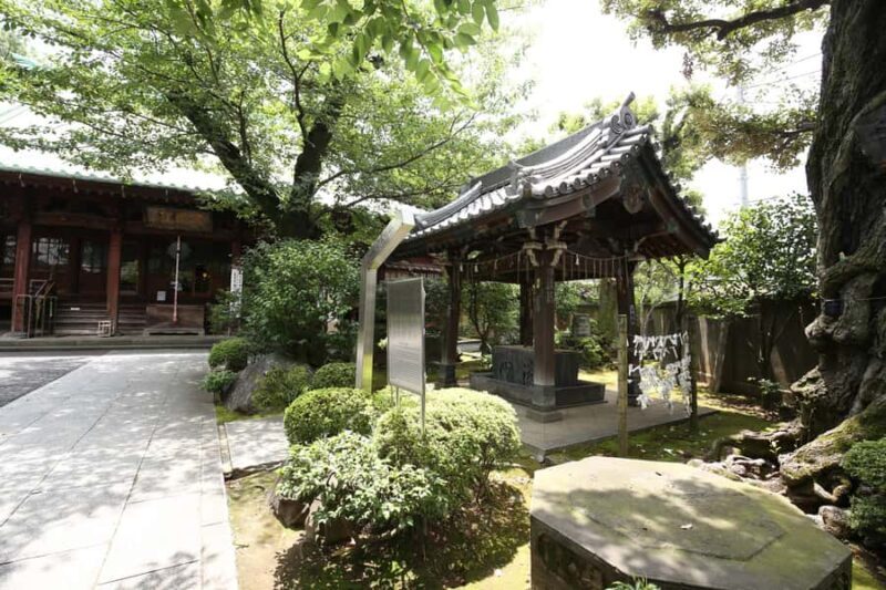 Art Tour: Tokyo national museum and Ueno-Yanaka walking tour - Final Thoughts