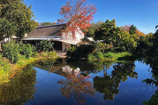 Art, Wine Tasting and Gardens Day Tour From Cape Town - Tour Highlights