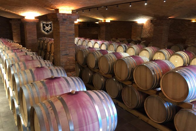 Art, Wine Tasting and Gardens Day Tour From Cape Town - Customer Reviews and Ratings