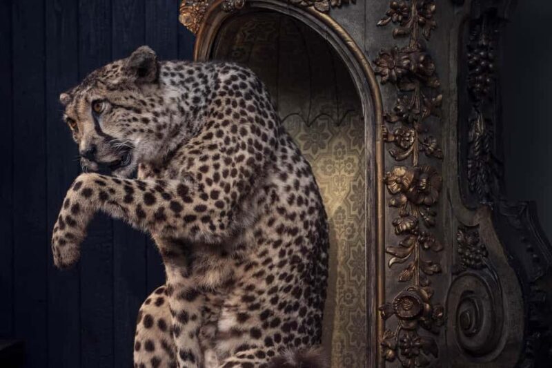 Art Zoo Museum: Art meets nature in a 17th-Century House - Good To Know