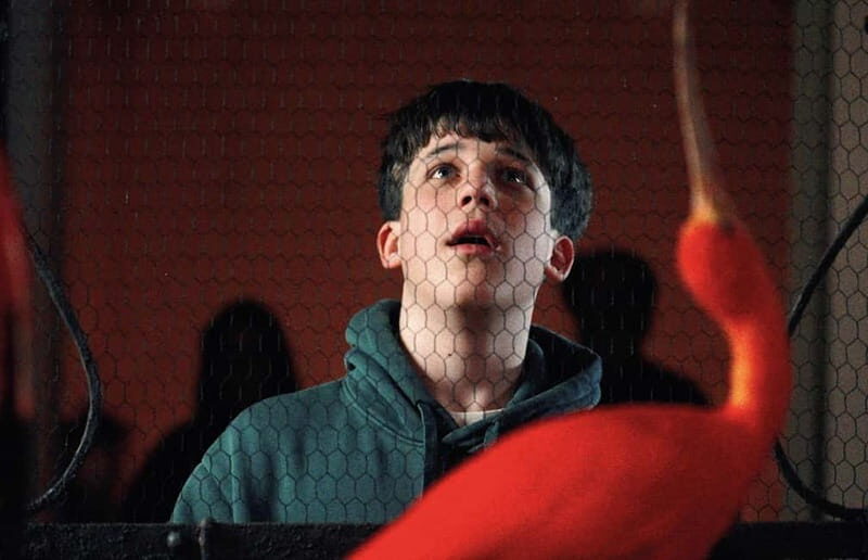 Art Zoo Museum: Art meets nature in a 17th-Century House - Practicalities and Visitor Tips