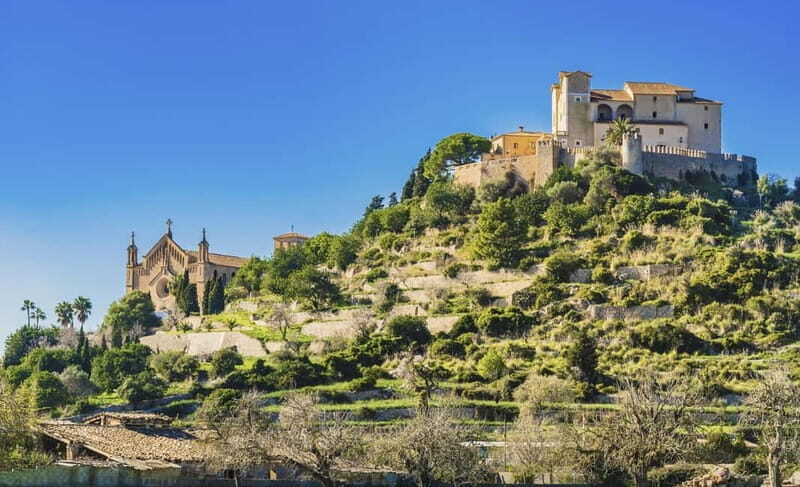 Arta Caves and Market Excursion - An In-Depth Look at the Tour Experience