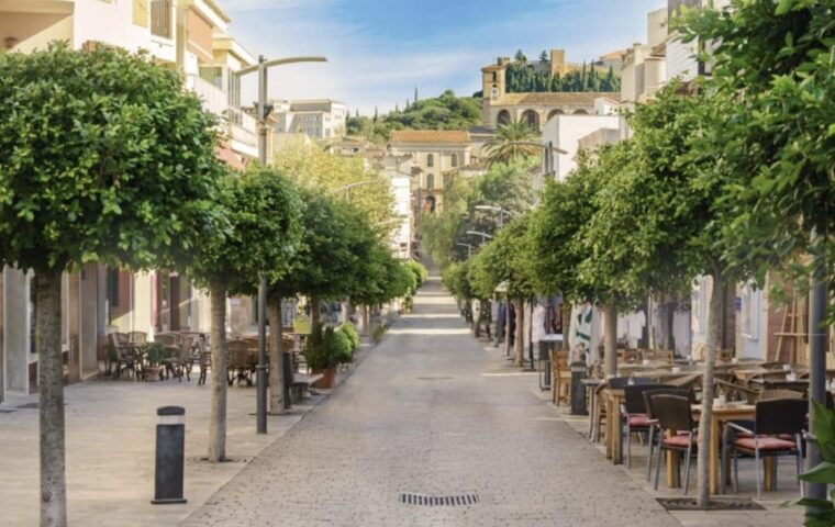 Arta Caves and Market Excursion - Included Services