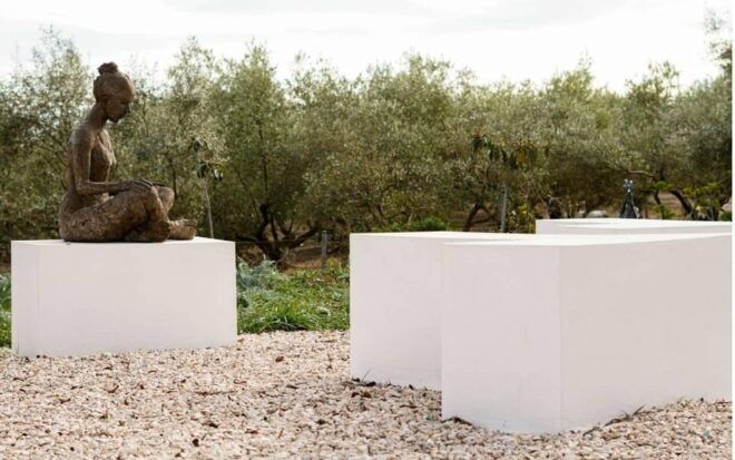 Arte-Contemporary: Sculpture Park and Art Gallery Visit - Visitor Information and Languages