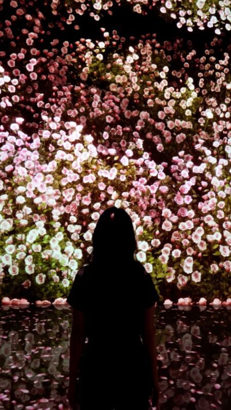 ARTE MUSEUM DUBAI Ticket - Key points before you go