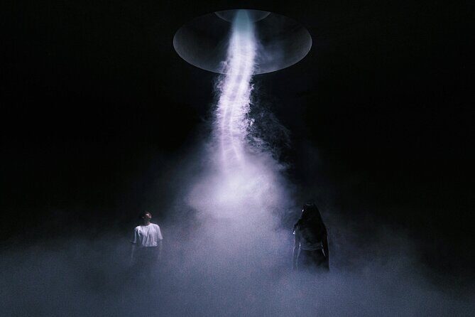 ARTE MUSEUM Immersive Media Art Exhibition in NYC - A Deep Dive into the ARTE MUSEUM Experience