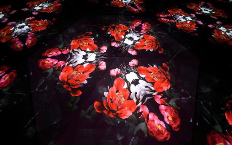 ARTE MUSEUM LAS VEGAS - Immersive Art Exhibition - Experience Highlights