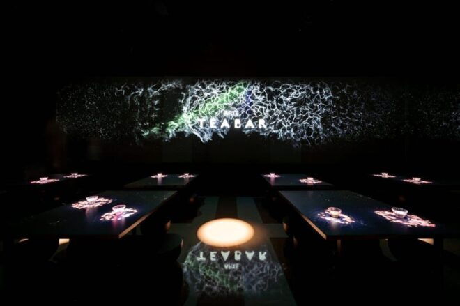 ARTE MUSEUM LAS VEGAS - Immersive Art Exhibition - Accessibility and Safety