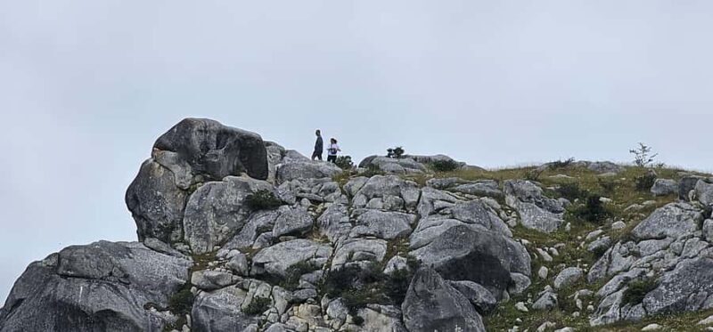 Arthurs Pass Alpine Explorer Day Tour from Christchurch - Alpine Lakes and Scenic Stops: Lake Pearson and Beyond