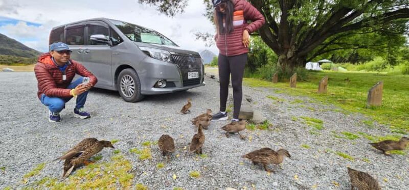 Arthurs Pass Alpine Explorer Day Tour from Christchurch - Final Thoughts: Who Will Love This Tour?