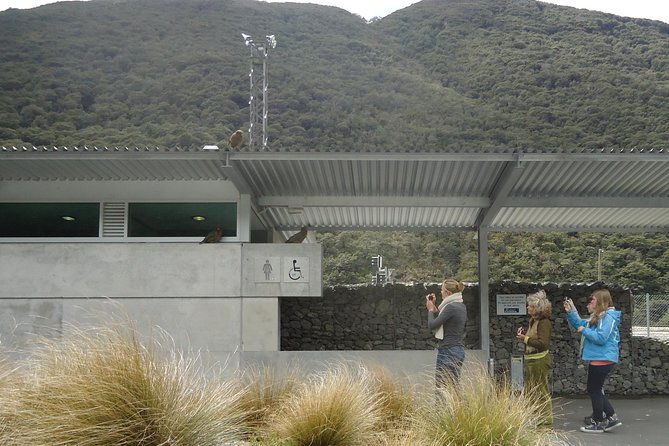 Arthurs Pass and Southern Alps Day Excursion From Port Lyttelton or Christchurch - Common Questions