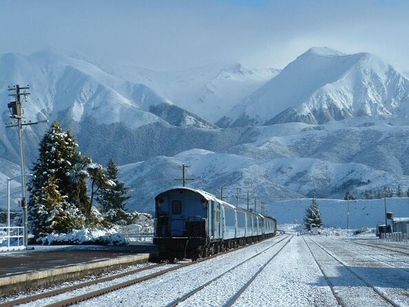 Arthurs Pass Day Tour - Tranzalpine Train From Christchurch - Tour Overview