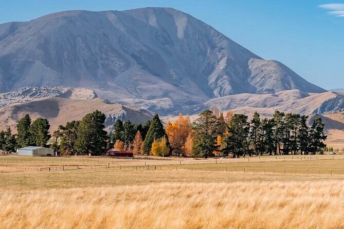 Arthurs Pass Private Day Trip from Christchurch with Castle Hill - The Sum Up