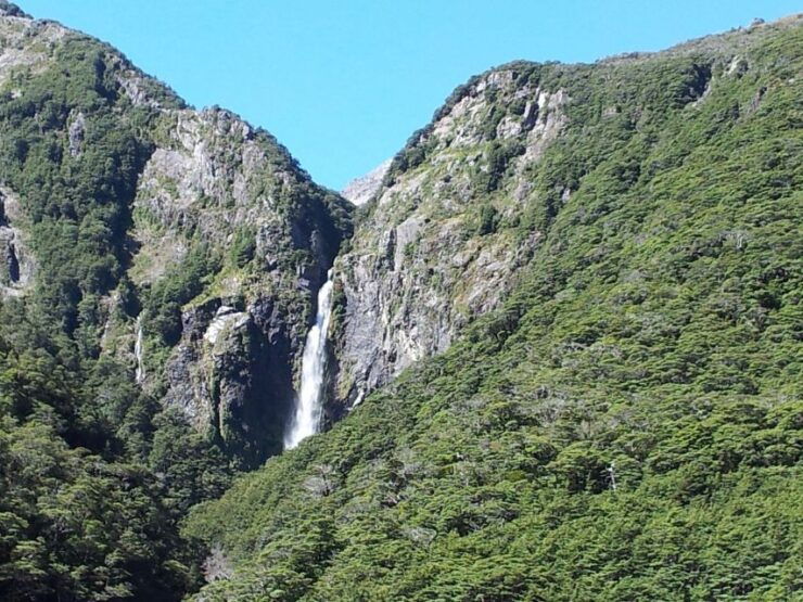 Arthur's Pass: TranzAlpine Train and Castle Hill Day Tour - Activity Details