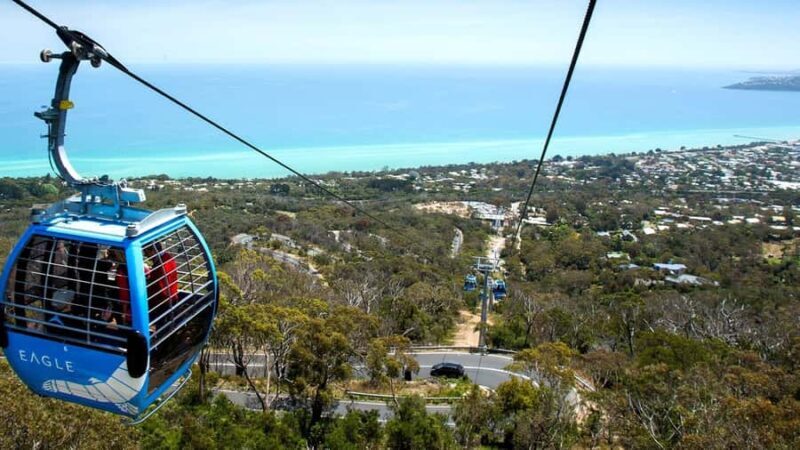 Arthurs Seat Eagle: Scenic Gondola Ride - Practical Details: Timing, Cost, and Accessibility