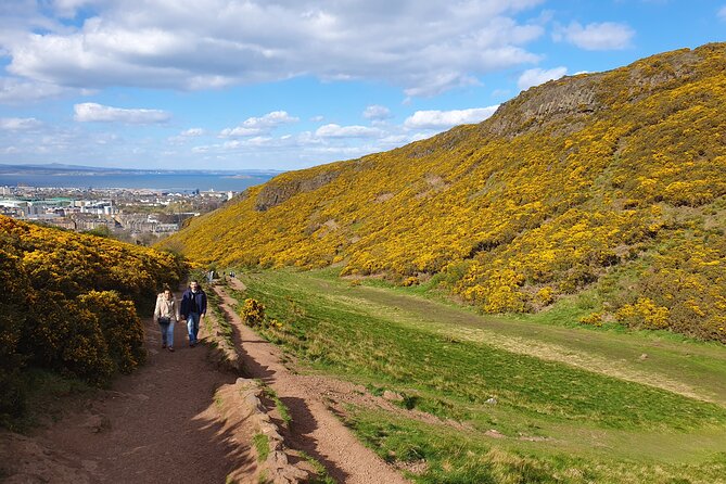 Arthurs Seat Hike - Tour Highlights
