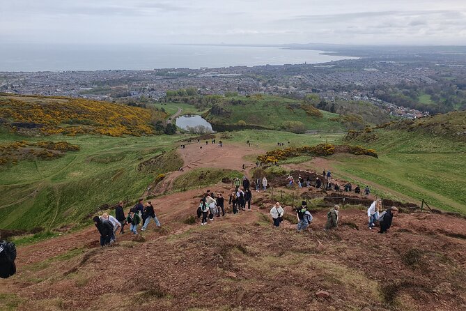 Arthurs Seat Hike - Booking and Pricing