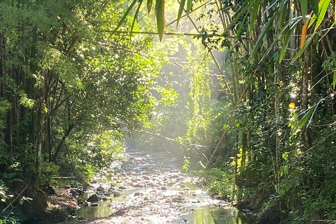 Artisan Puertorrican Winery and Distillery Tour - Location Details