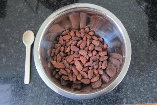 Artisanal Chocolate Bean to Bar Workshop in Cancún - Workshop Benefits and Learning Opportunities