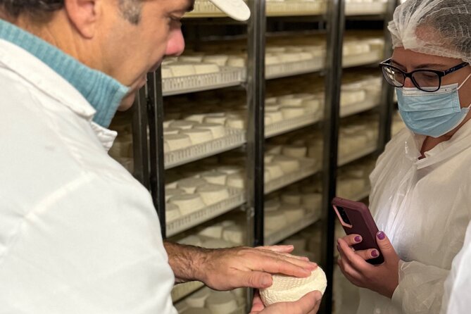 Artisanal Delights Cheese, Wine and Tile Painting Experience - Tile Painting Workshop
