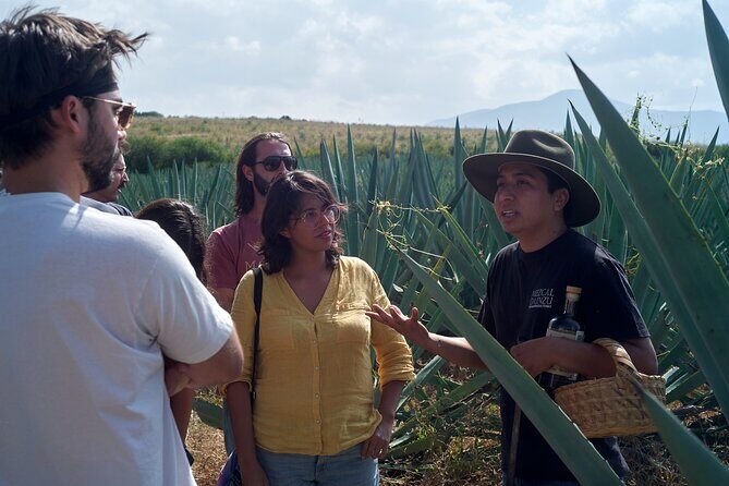 Artisanal Mezcal Culture Tour for Tasting and History - Good To Know