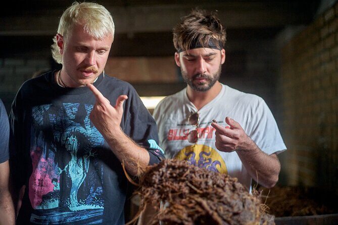 Artisanal Mezcal Culture Tour for Tasting and History - The Community Celebration Mezcales