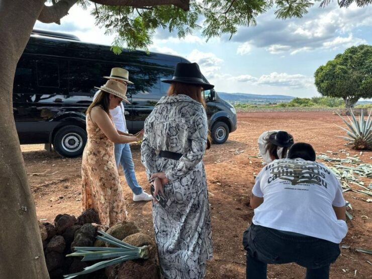 Artisanal Tequila Experience in Private Luxury SUV Local - Experience and Itinerary