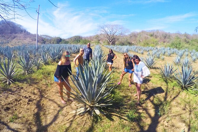 Artisans Town and Agave Distilled Factory - Tasting the Spirit: Sampling Agave Distilled Delights