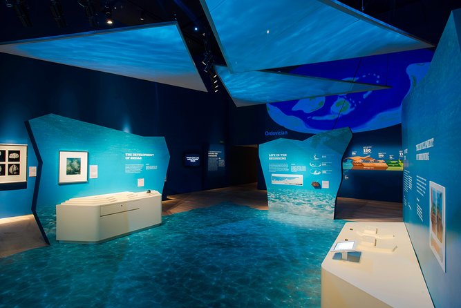 ArtScience Museum Admission Ticket - Ticket Options and Hours