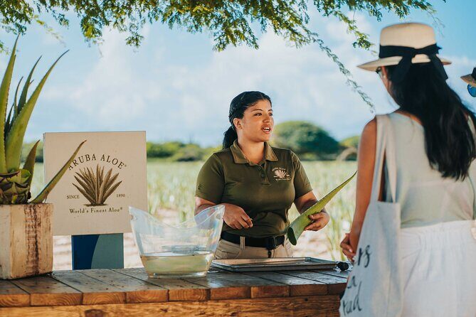 Aruba Baby Beach Express Tour - Good To Know