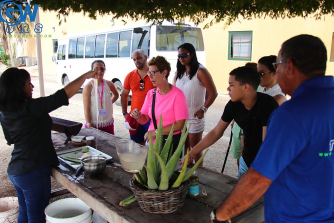 Aruba Countryside Tour - Tour Highlights