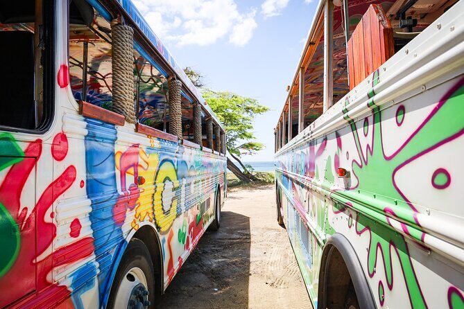 Aruba Create Your Own Island Tour - Price & Value — Is It Worth It?