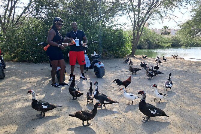 Aruba Electric Scooter Rental (1 or 2-seater) - FAQs