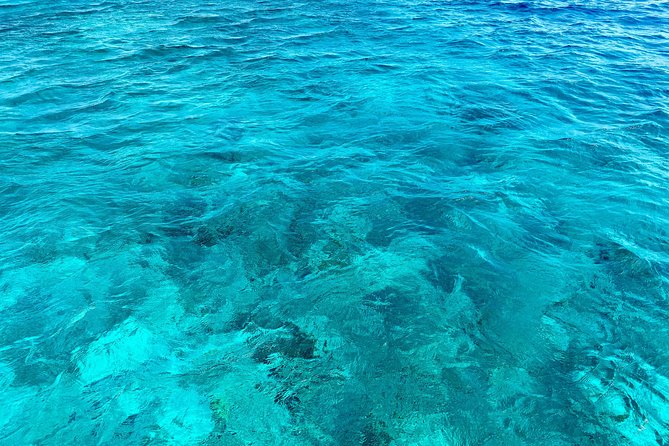 Aruba Element Private Boat Charter (L-Lounge) - Common Questions