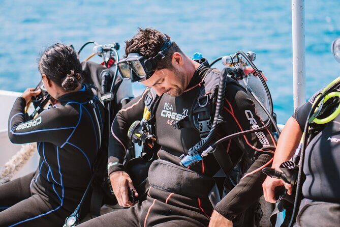 Aruba Guided Night Dive Adventure: Shallow Reefs or Shipwrecks - Good To Know