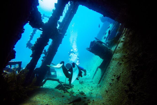 Aruba Guided Night Dive Adventure: Shallow Reefs or Shipwrecks - Who Should Consider This Tour?