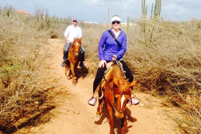 Aruba Horseback Riding Tour For Advanced Riders - Pricing and Availability
