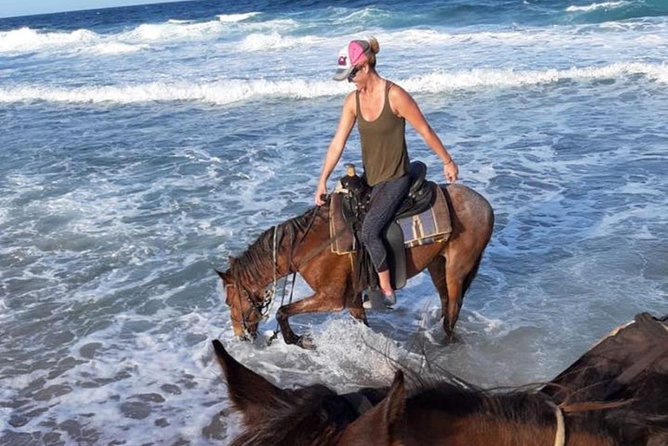 Aruba Horseback Riding Tour For Advanced Riders - What to Expect on the Tour