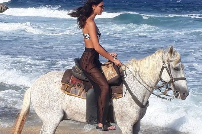 Aruba Horseback Riding Tour For Advanced Riders - Reviews and Recommendations